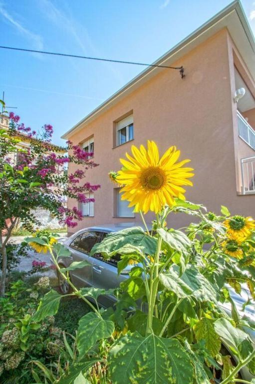 Apartman Studio Nena Crikvenica Exterior photo